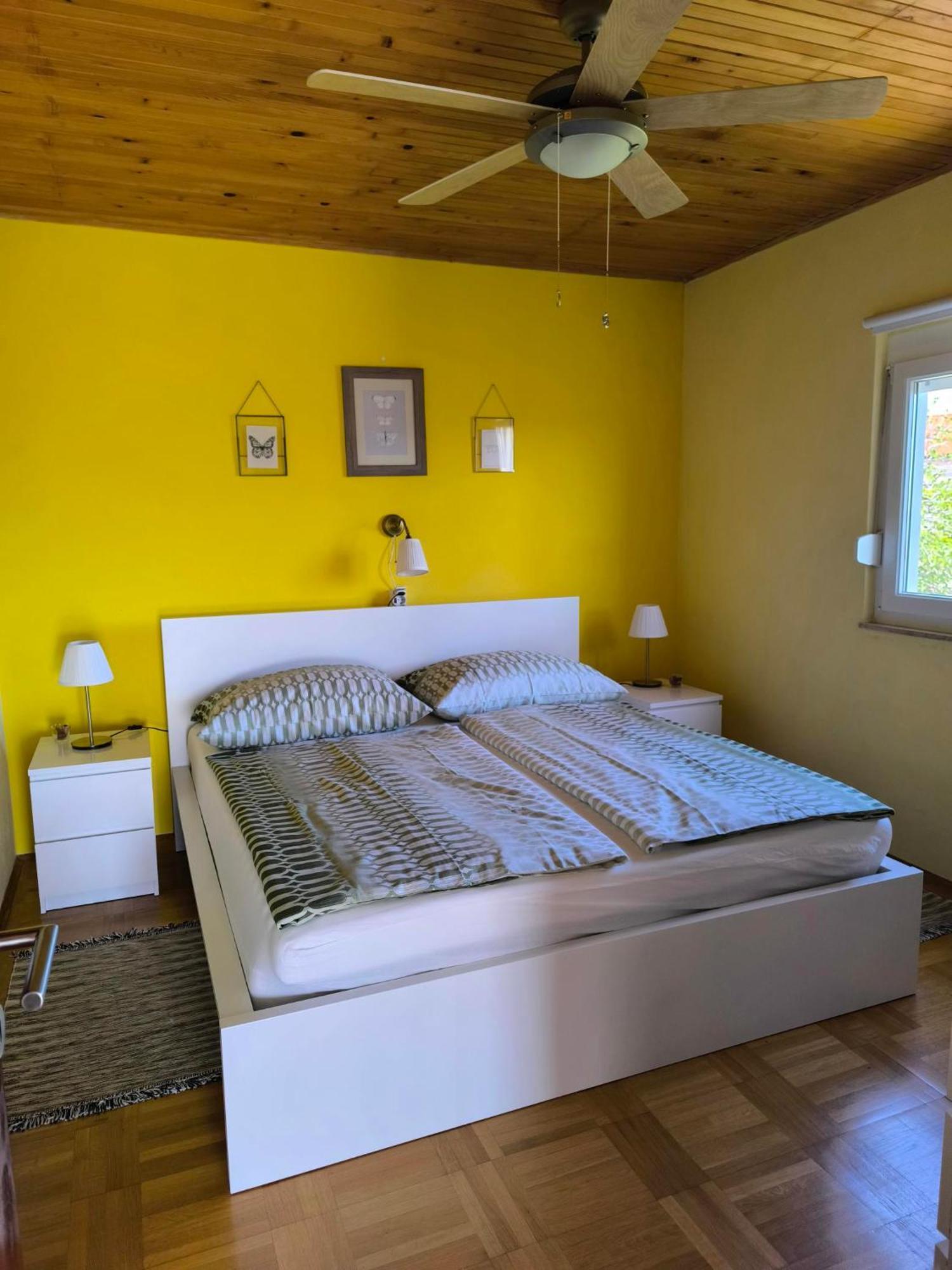 Panoramic View Studio Palit Luaran gambar