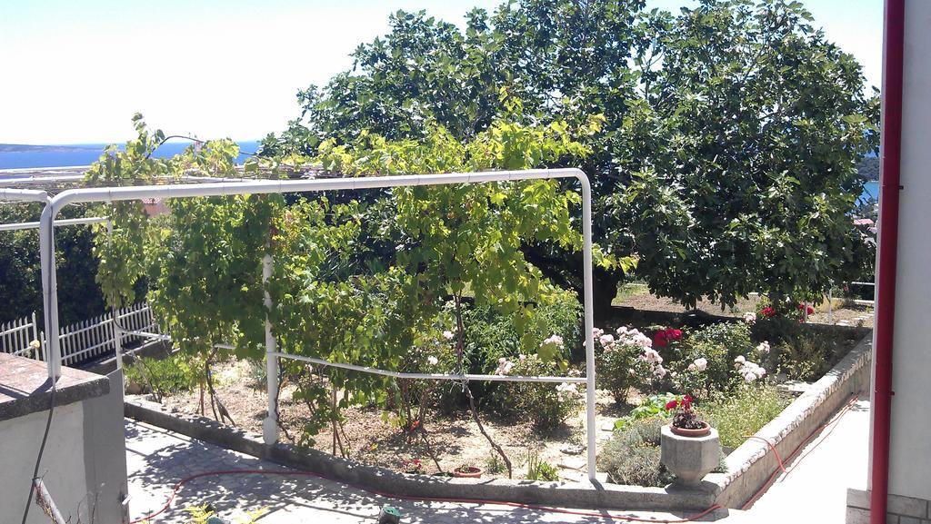 Panoramic View Studio Palit Luaran gambar
